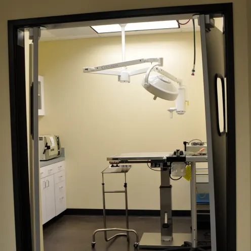 Exam room with x ray equipment and exam table